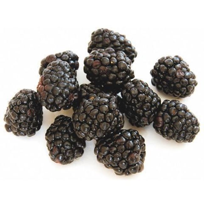 Picture of BLACKBERRIES Premium