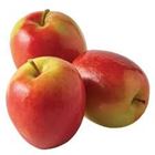 Picture of APPLE JAZZ