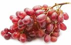Picture of GRAPES CRIMSON SEEDLESS 