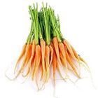 Picture of CARROT DUTCH (BUNCH)