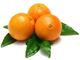 Picture of ORANGE NAVEL Large