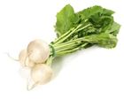 Picture of TURNIPS BUNCH