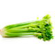 Picture of CELERY BUNCH WHOLE