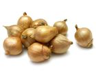 Picture of PICKLING LOOSE ONION