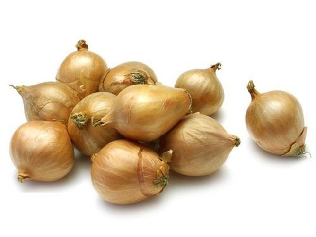 Picture of PICKLING LOOSE ONION