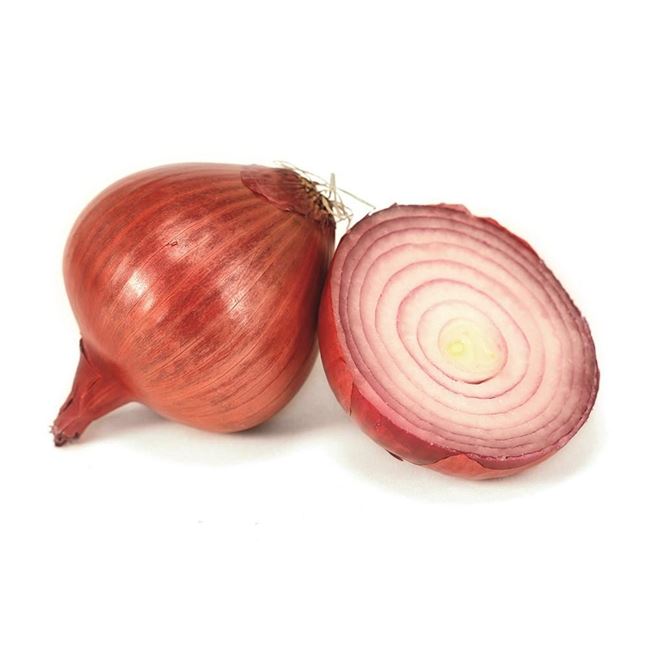 Picture of ONION SPANISH LOOSE 
