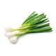 Picture of ONION SPRING BUNCH 