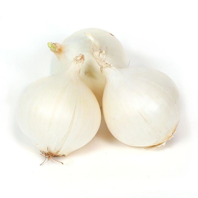 Picture of ONION WHITE LOOSE 