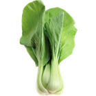 Picture of BABY BOK CHOY (BUNCH)