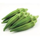 Picture of OKRA BEANS PACK 175g