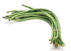 Picture of SNAKE BEAN