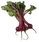 Picture of BABY BEETROOT BUNCH