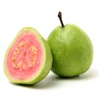 Picture of GUAVA PINK