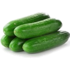 Picture of CUCUMBER LEBANESE