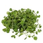 Picture of WATERCRESS BUNCH