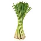 Picture of HERBS LEMONGRASS