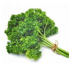 Picture of HERBS PARSLEY AUST