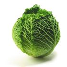 Picture of CABBAGE SAVOY WHOLE