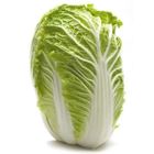 Picture of WOMBOK (CHINESE CABBAGE)  WHOLE
