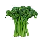 Picture of BROCCOLINI (PERFECTION)