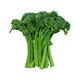 Picture of BROCCOLINI (BUNCH)