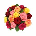 Picture of ROSES MIXED BOUQUET SHORT