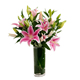 Picture of ORIENTAL LILIES PINK