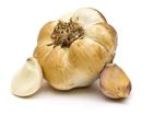 Picture of GARLIC SMOKED