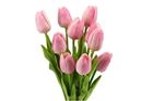 Picture of TULIPS PINK BUNCH