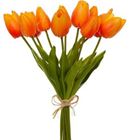 Picture of TULIPS ORANGE BUNCH