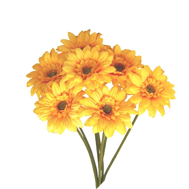 Picture of GERBERAS YELLOW BUNCH