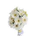 Picture of GERBERAS WHITE BUNCH