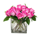 Picture of ROSES PINK SHORT