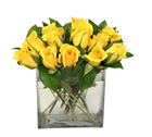 Picture of ROSES YELLOW SHORT