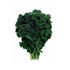 Picture of KALE BUNCH