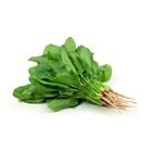 Picture of SPINACH ENGLISH