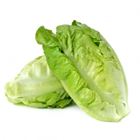 Picture of LETTUCE COS HEART (2 PK)