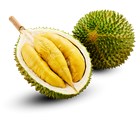 Picture of KING DURIAN