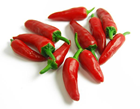Picture of CHILLI BULLET (BIRD'S EYE)