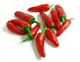 Picture of CHILLI BULLET (BIRD'S EYE)