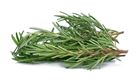 Picture of HERBS ROSEMARY