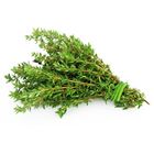 Picture of HERBS THYME