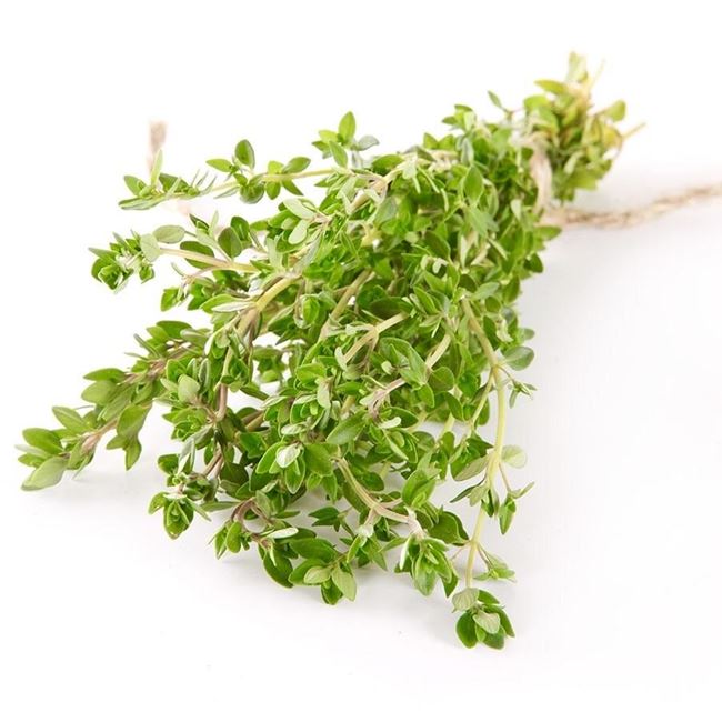 Picture of HERBS THYME LEMON