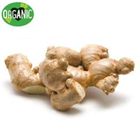 Picture of ORGANIC GINGER 