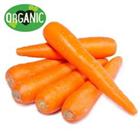 Picture of ORGANIC CARROT 