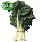 Picture of ORGANIC SILVERBEET