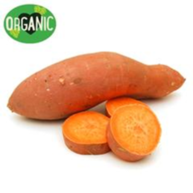 Organic Sweet Potato Losurdos 9627