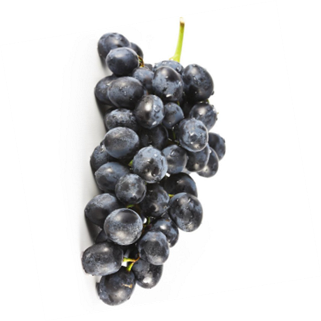 Picture of GRAPES BLACK SEEDLESS (BAG)