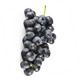 Picture of GRAPES BLACK SEEDLESS (BAG)