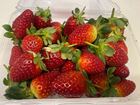 Picture of Strawberries Special 3 for $5